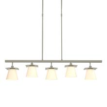 Hubbardton Forge 136605-SKT-LONG-85-GG0242 - Wren 5 Light Pendant