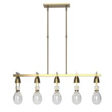 Hubbardton Forge 137810-SKT-STND-86-ZM0572 - Apothecary Pendant