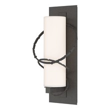 Hubbardton Forge 302402-SKT-20-GG0034 - Olympus Medium Outdoor Sconce