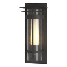 Hubbardton Forge 305996-SKT-20-ZS0654 - Torch Small Outdoor Sconce with Top Plate