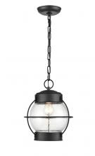 Millennium 4172-PBK - Aremelo 1-Light Outdoor Hanging Lantern Powder Coated Black