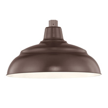 Millennium RWHS14-ABR - R Series 1-Light Warehouse Shade Architect Bronze