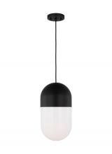 Visual Comfort & Co. Studio Collection DJP1141MBK - Medium Pendant