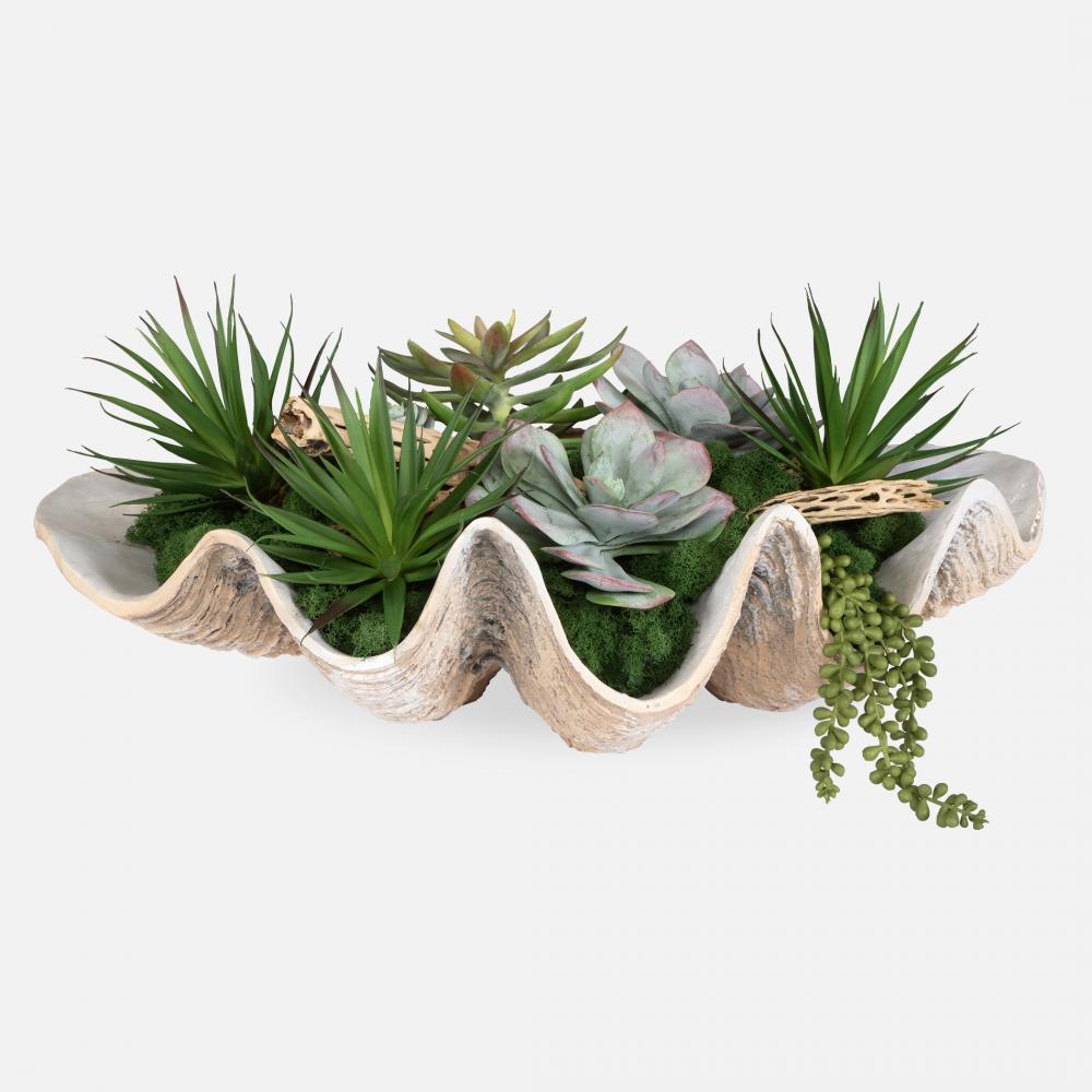 Uttermost Seaside Breeze Succulents