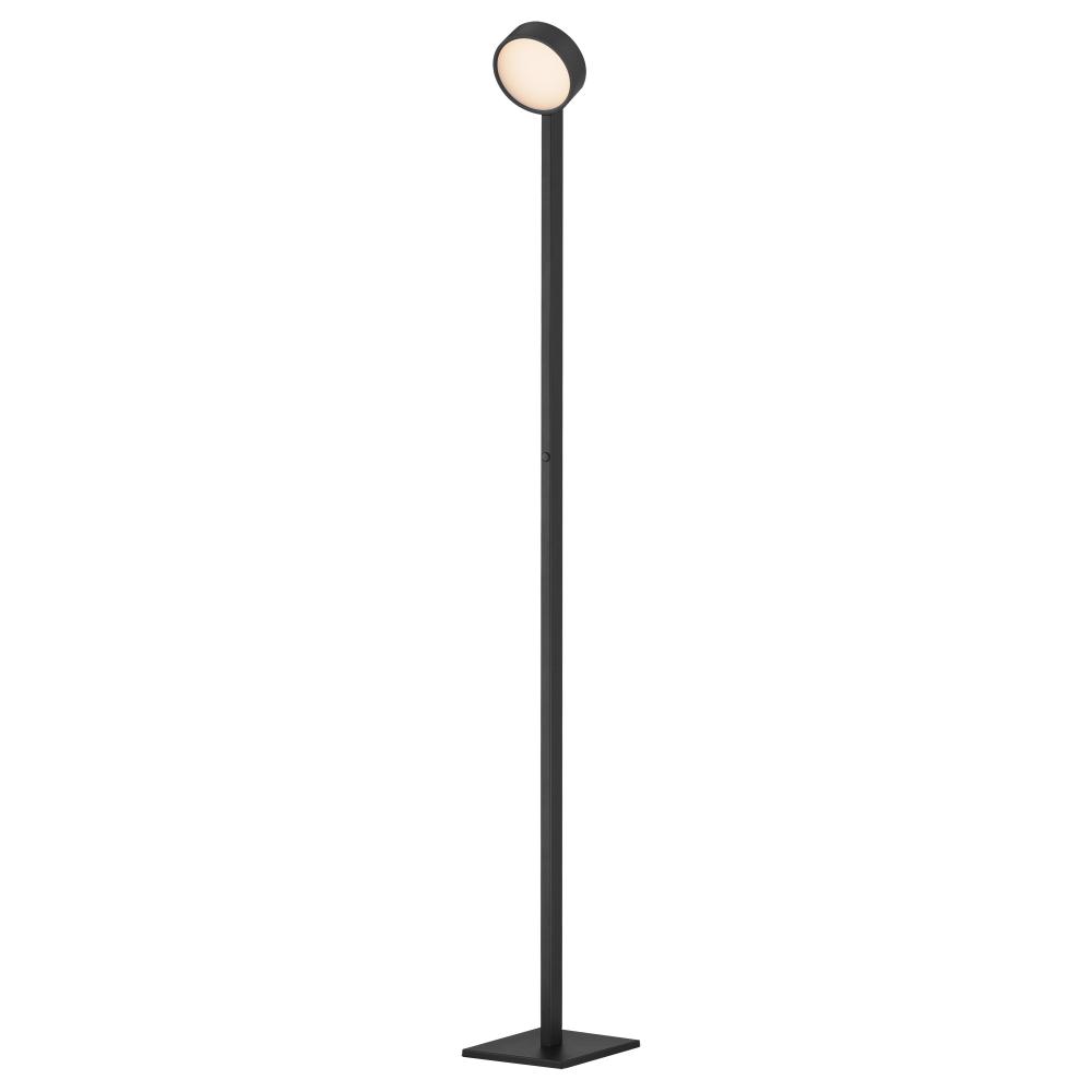 Embrace-Floor Lamp